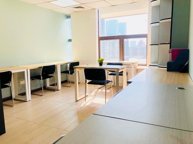 静安区办公室绿植租赁产品介绍